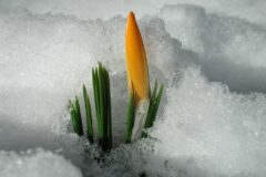 01-12 - hallooo ich bin da 